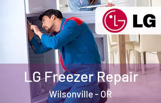  LG Freezer Repair Wilsonville - OR
