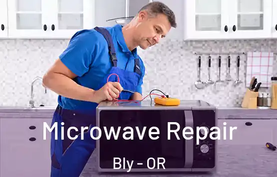  Microwave Repair Bly - OR
