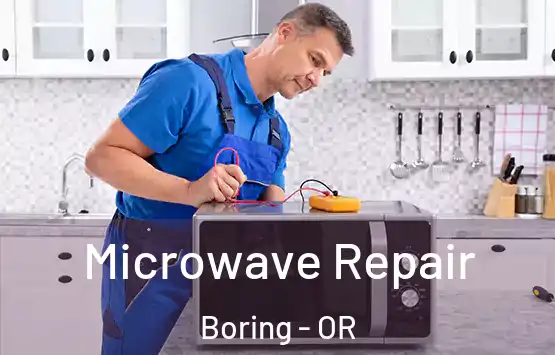  Microwave Repair Boring - OR