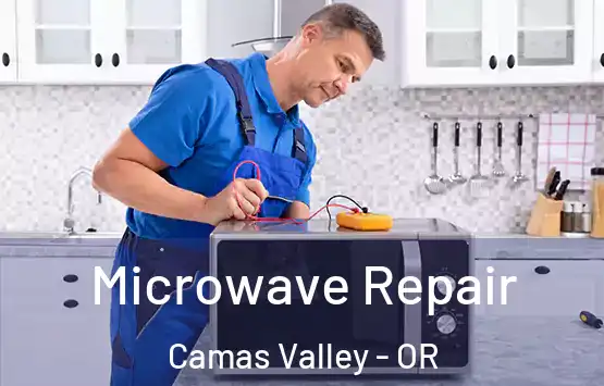  Microwave Repair Camas Valley - OR