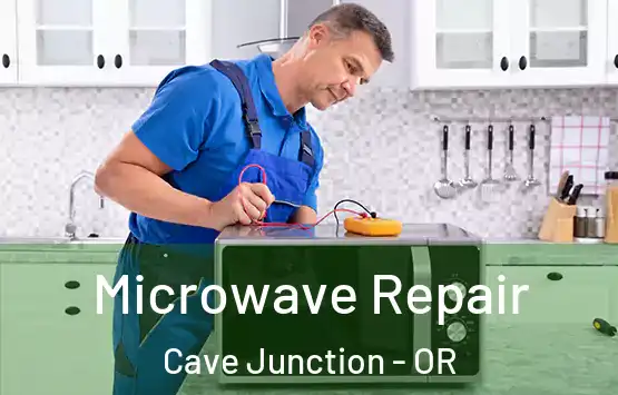  Microwave Repair Cave Junction - OR