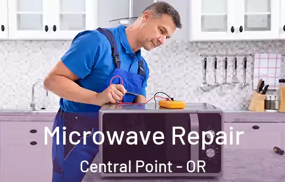  Microwave Repair Central Point - OR