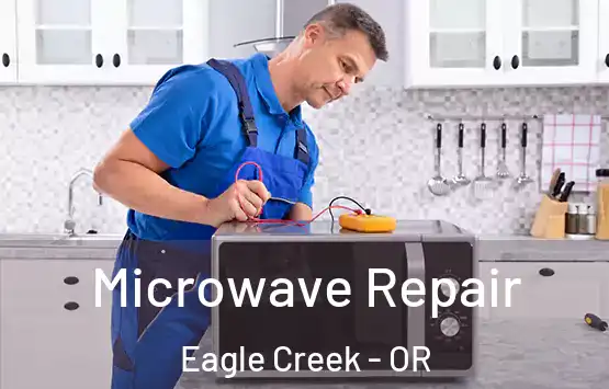  Microwave Repair Eagle Creek - OR