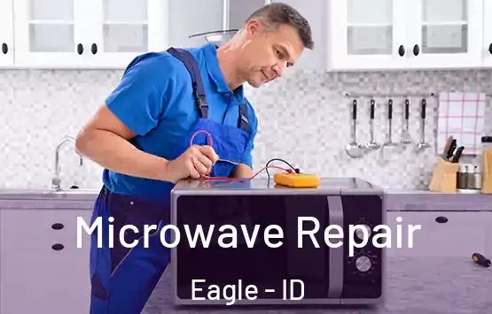  Microwave Repair Eagle - ID