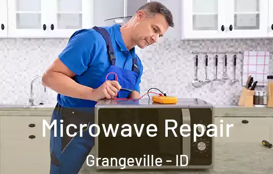  Microwave Repair Grangeville - ID