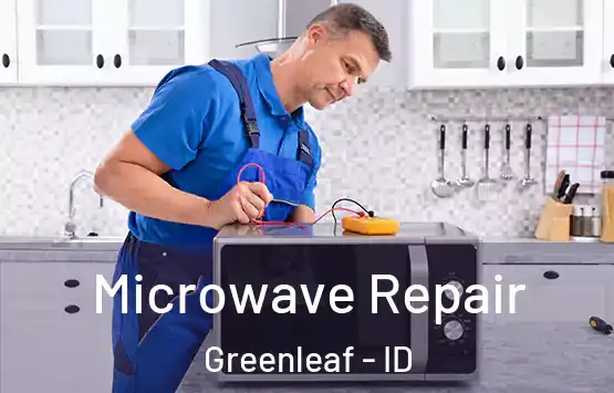  Microwave Repair Greenleaf - ID