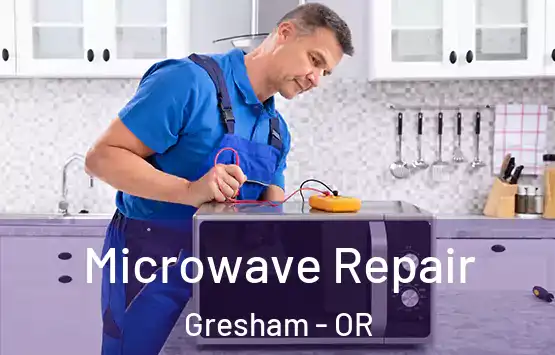  Microwave Repair Gresham - OR
