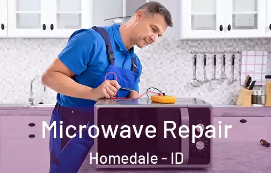  Microwave Repair Homedale - ID