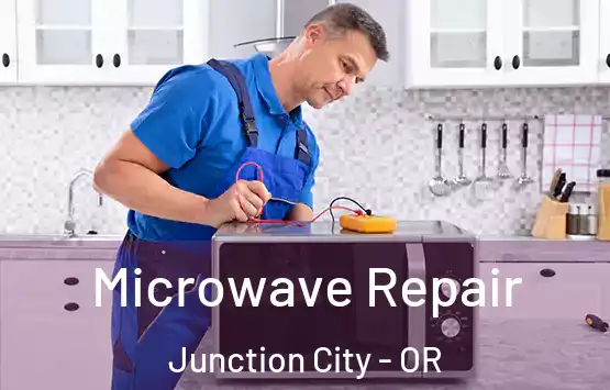  Microwave Repair Junction City - OR