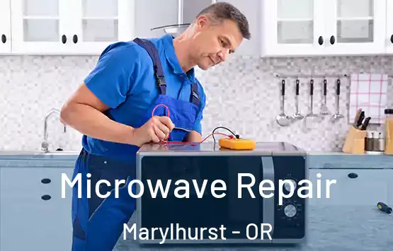  Microwave Repair Marylhurst - OR