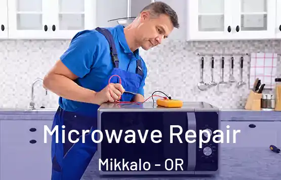  Microwave Repair Mikkalo - OR