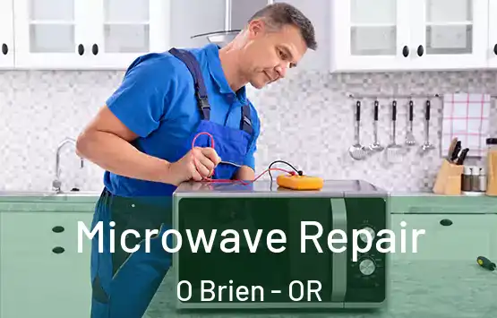  Microwave Repair O Brien - OR