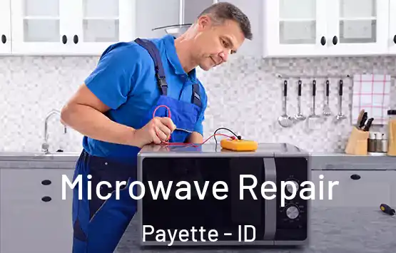  Microwave Repair Payette - ID
