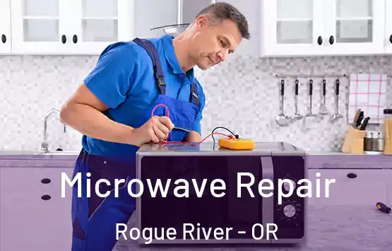  Microwave Repair Rogue River - OR
