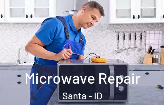  Microwave Repair Santa - ID