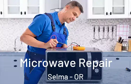  Microwave Repair Selma - OR