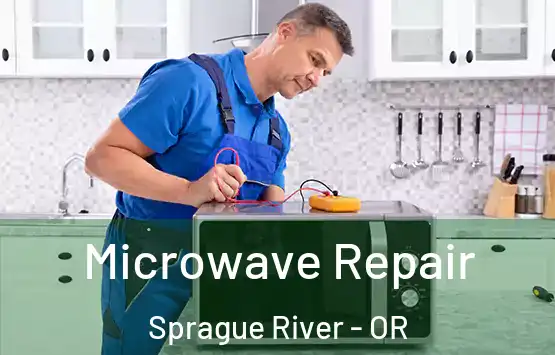  Microwave Repair Sprague River - OR