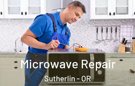  Microwave Repair Sutherlin - OR