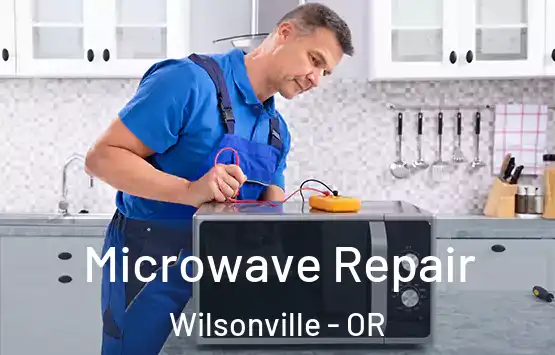  Microwave Repair Wilsonville - OR