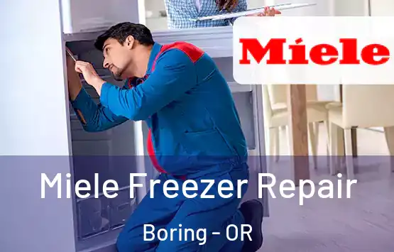  Miele Freezer Repair Boring - OR