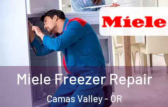  Miele Freezer Repair Camas Valley - OR