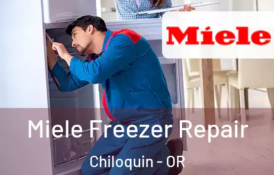  Miele Freezer Repair Chiloquin - OR