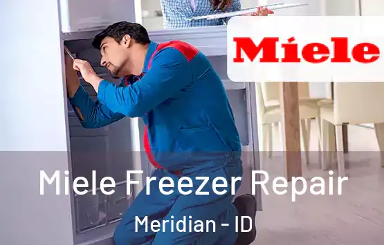  Miele Freezer Repair Meridian - ID