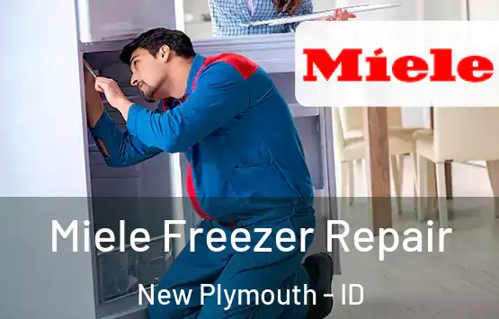 Miele Freezer Repair New Plymouth - ID