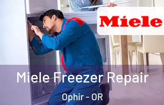  Miele Freezer Repair Ophir - OR