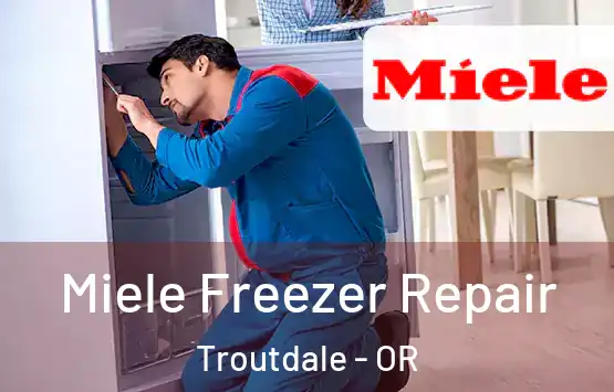  Miele Freezer Repair Troutdale - OR