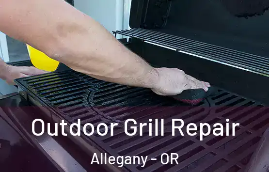  Outdoor Grill Repair Allegany - OR