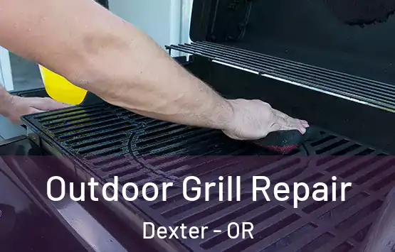  Outdoor Grill Repair Dexter - OR