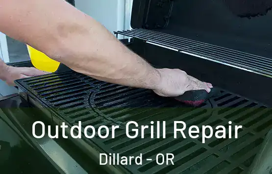 Outdoor Grill Repair Dillard - OR