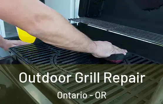  Outdoor Grill Repair Ontario - OR