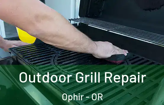  Outdoor Grill Repair Ophir - OR