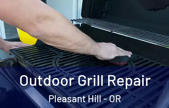  Outdoor Grill Repair Pleasant Hill - OR