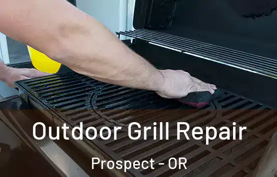  Outdoor Grill Repair Prospect - OR