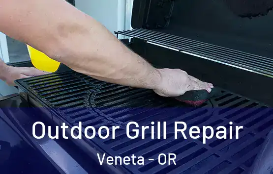  Outdoor Grill Repair Veneta - OR