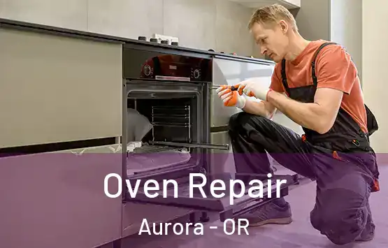  Oven Repair Aurora - OR