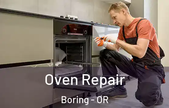  Oven Repair Boring - OR