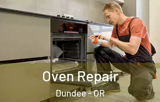  Oven Repair Dundee - OR