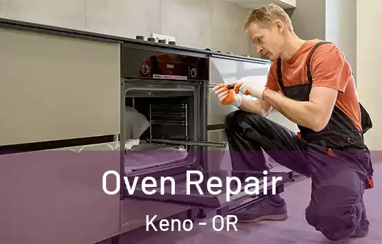  Oven Repair Keno - OR