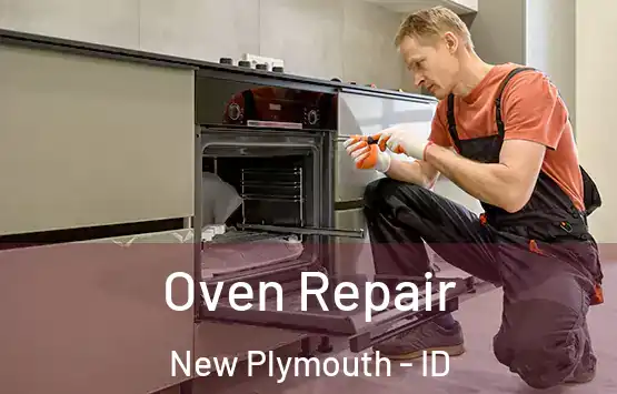  Oven Repair New Plymouth - ID