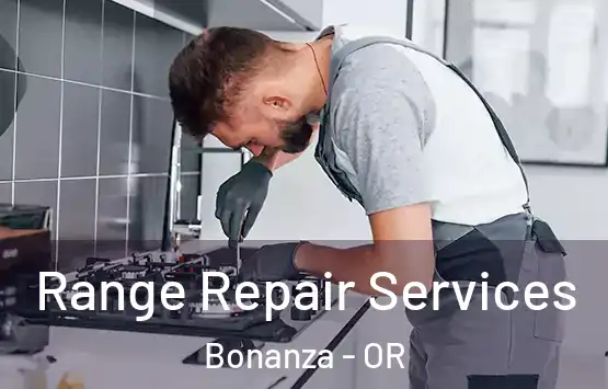  Range Repair Services Bonanza - OR