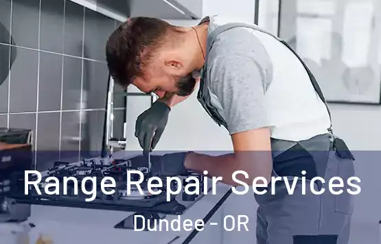  Range Repair Services Dundee - OR