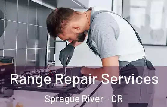  Range Repair Services Sprague River - OR