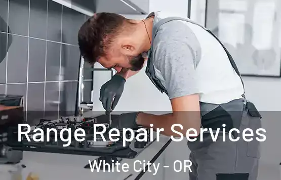  Range Repair Services White City - OR