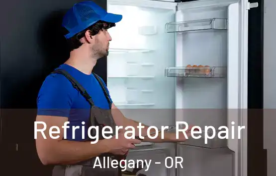  Refrigerator Repair Allegany - OR