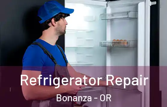  Refrigerator Repair Bonanza - OR