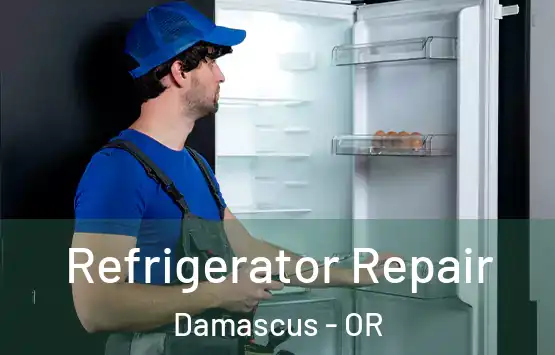  Refrigerator Repair Damascus - OR